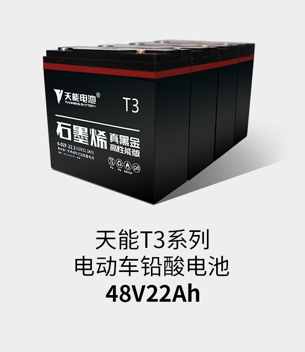 乐天堂fun88T3系列48v22ah
